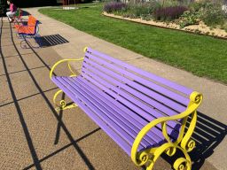 The Chisholm Coloured Option